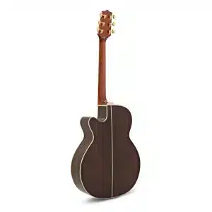 takamine gn51ce nat dan guitar 3
