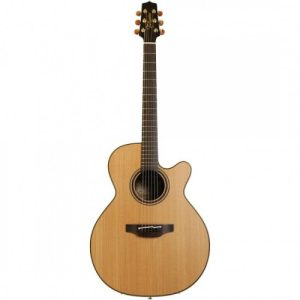 Đàn Guitar Takamine P3NC