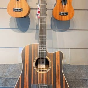 tanglewood dbt dce aeb dan guitar 1