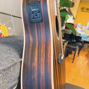 tanglewood dbt dce aeb dan guitar 2