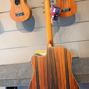 tanglewood dbt dce aeb dan guitar 3