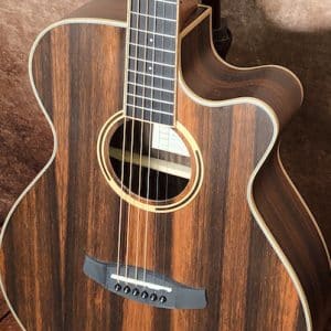 tanglewood dbt sfce aeb dan guitar 1