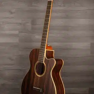 tanglewood dbt sfce aeb dan guitar 3