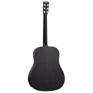 tanglewood twbb sde dan guitar 1