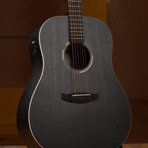 tanglewood twbb sde dan guitar 3