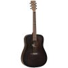 Đàn guitar Acoustic TangleWood TWCR-D E