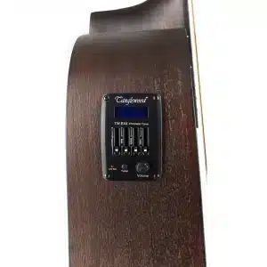 tanglewood twcr dce dan guitar