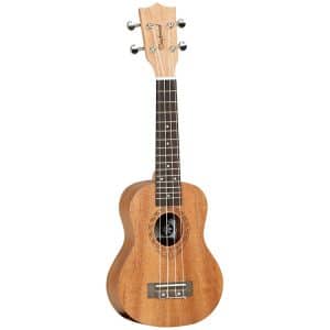 tanglewood twt1 dan ukulele 1