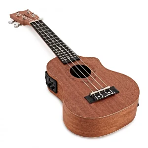 tanglewood twt1ce dan ukulele 2