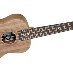 tanglewood twt3 dan ukulele 1