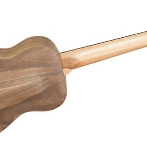 tanglewood twt3 dan ukulele 2