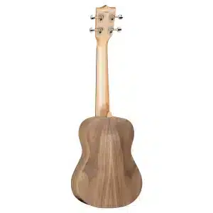 tanglewood twt3e dan ukulele 1