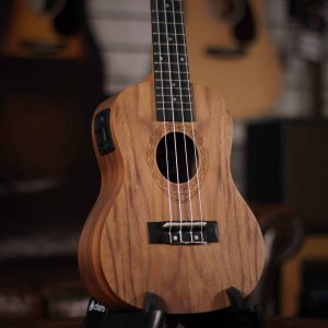 tanglewood twt3e dan ukulele 2