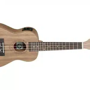 tanglewood twt3e dan ukulele 3