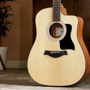 taylor 110ce s dan acoustic 1