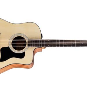 taylor 110ce s dan acoustic 2
