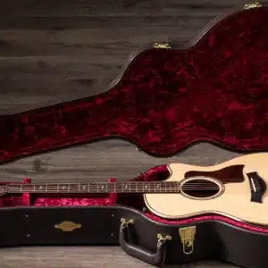 taylor 814ce dan guitar acoustic 1