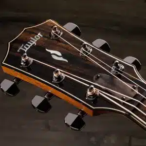 taylor 814ce dan guitar acoustic 3
