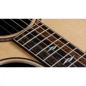 taylor 814ce dan guitar acoustic