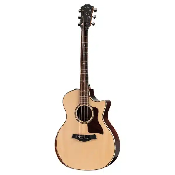 taylor 814ce dan guitar acoustic 4