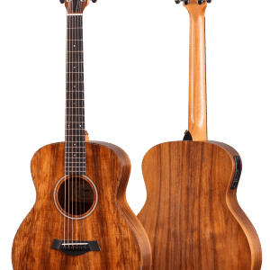 taylor gs mini e koa