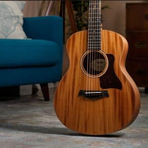 taylor gs mini e mah 1