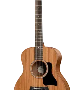 taylor gs mini e mah 2