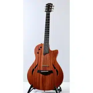 TAYLOR T5Z CLASSIC ĐÀN GUITAR taylor t5z classic dan guitar 1