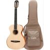 Đàn Guitar Classic Taylor A12e-N