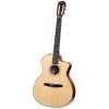 Đàn Guitar Taylor 214CEN