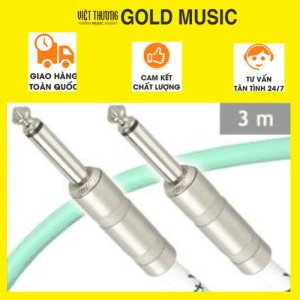 Fender dây tin hiệu 10' SFG 0990510058 0990510058 3