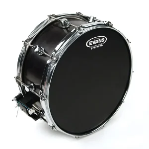 D'addrio Evans mặt trống B14HBG 1 org zoom