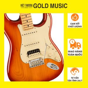 Fender Đàn Guitar điện AM PRO II STRAT HSS SSB 0113912747 Bản sao của Thiết kế không tên (1)