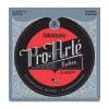 daddario day dan guitar nylon arte cabon norm tens ej45ff
