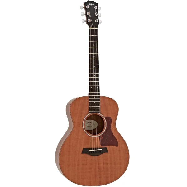 dan guitar acoustic taylor gs mini mahogany wbag viet music