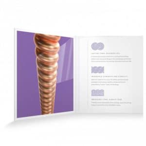 day guitar acoustic daddario xsapb1152