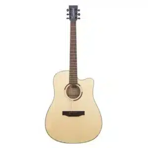 tanglewood dan guitar acoustic ts5ce