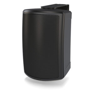 ams 5ict ls loa lap dat passive tannoy 1