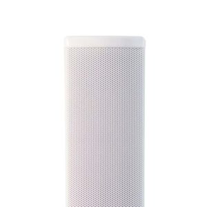 cs 3130 tw loa cot passive 30w fbt 3