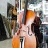 dan cello amati cb310 1