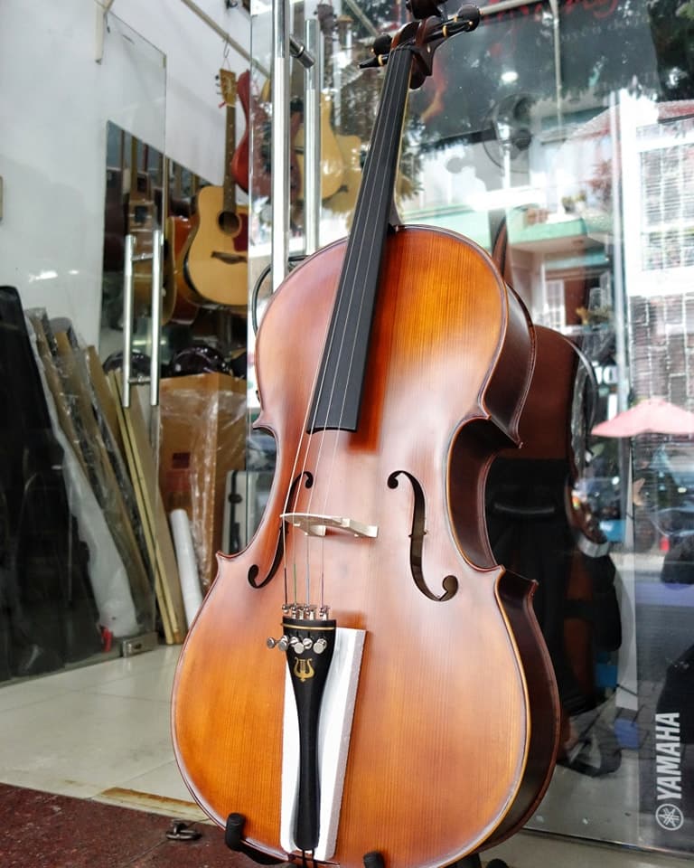 dan cello amati cb310 1 dan cello amati cb310 1