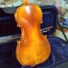 dan cello scott 601 1
