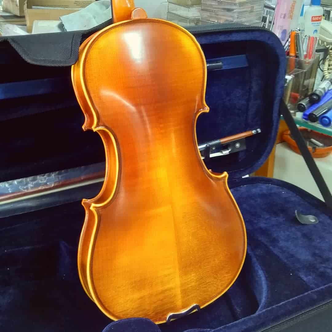 dan cello scott 601 1 dan cello scott 601 1