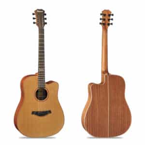 dan famosa acoustic guitar fd425c