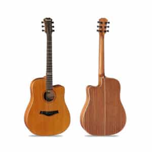dan guitar acoustic famosa fd425cu