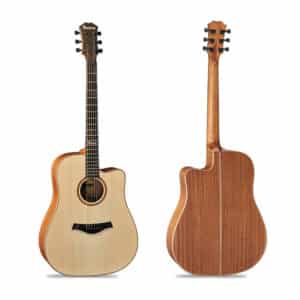 dan guitar acoustic famosa fd425s