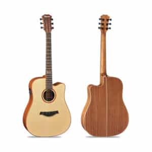 dan guitar acoustic famosa fd425sue