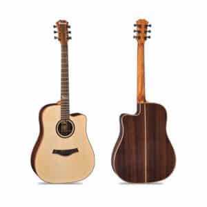 dan guitar acoustic famosa fd535su