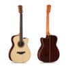 dan guitar acoustic famosa ff685su