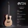 dan guitar acoustic martin 000cjr 10e 2